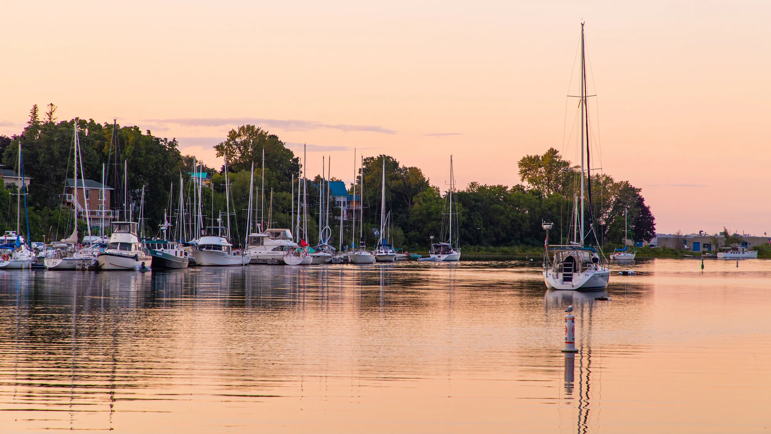 PEC-Picton private wealth corporate advisory