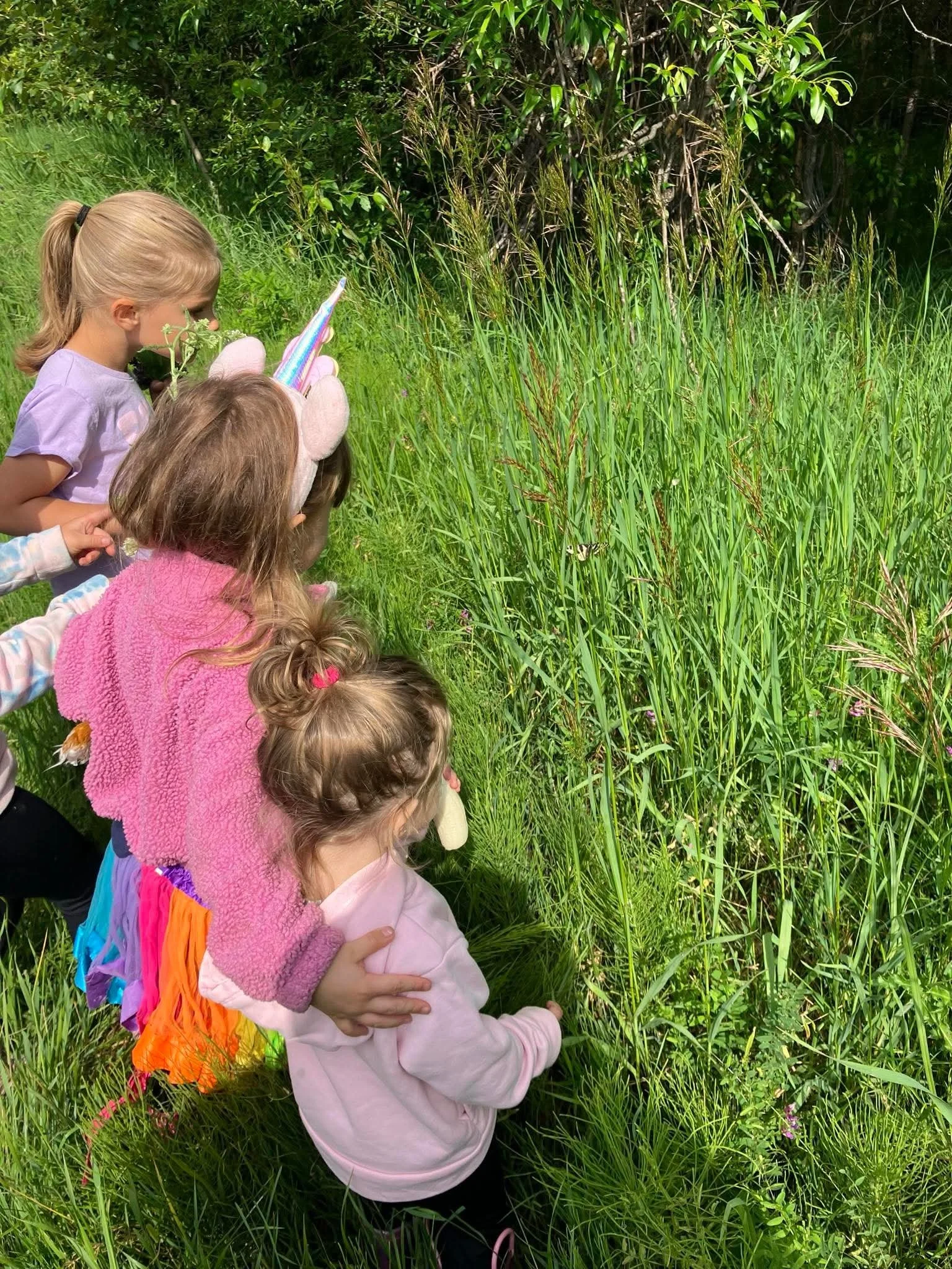 Grade One - Through The Seasons