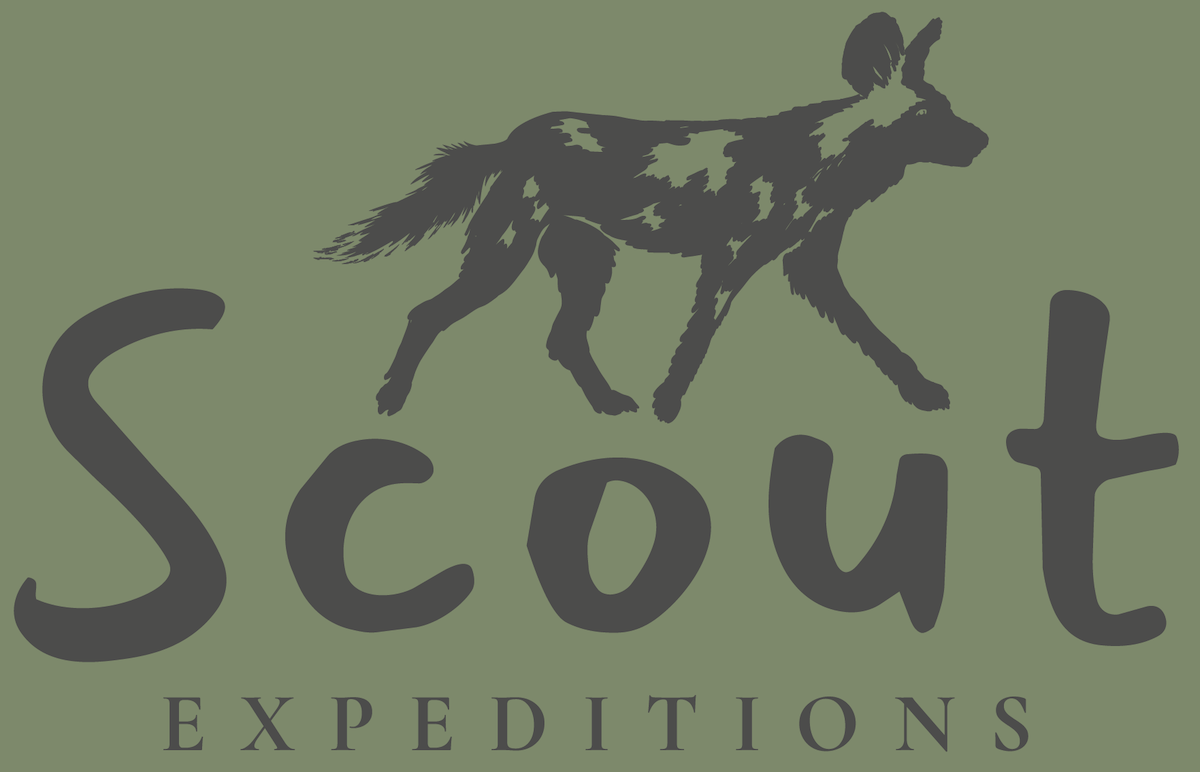Scout Expeditions