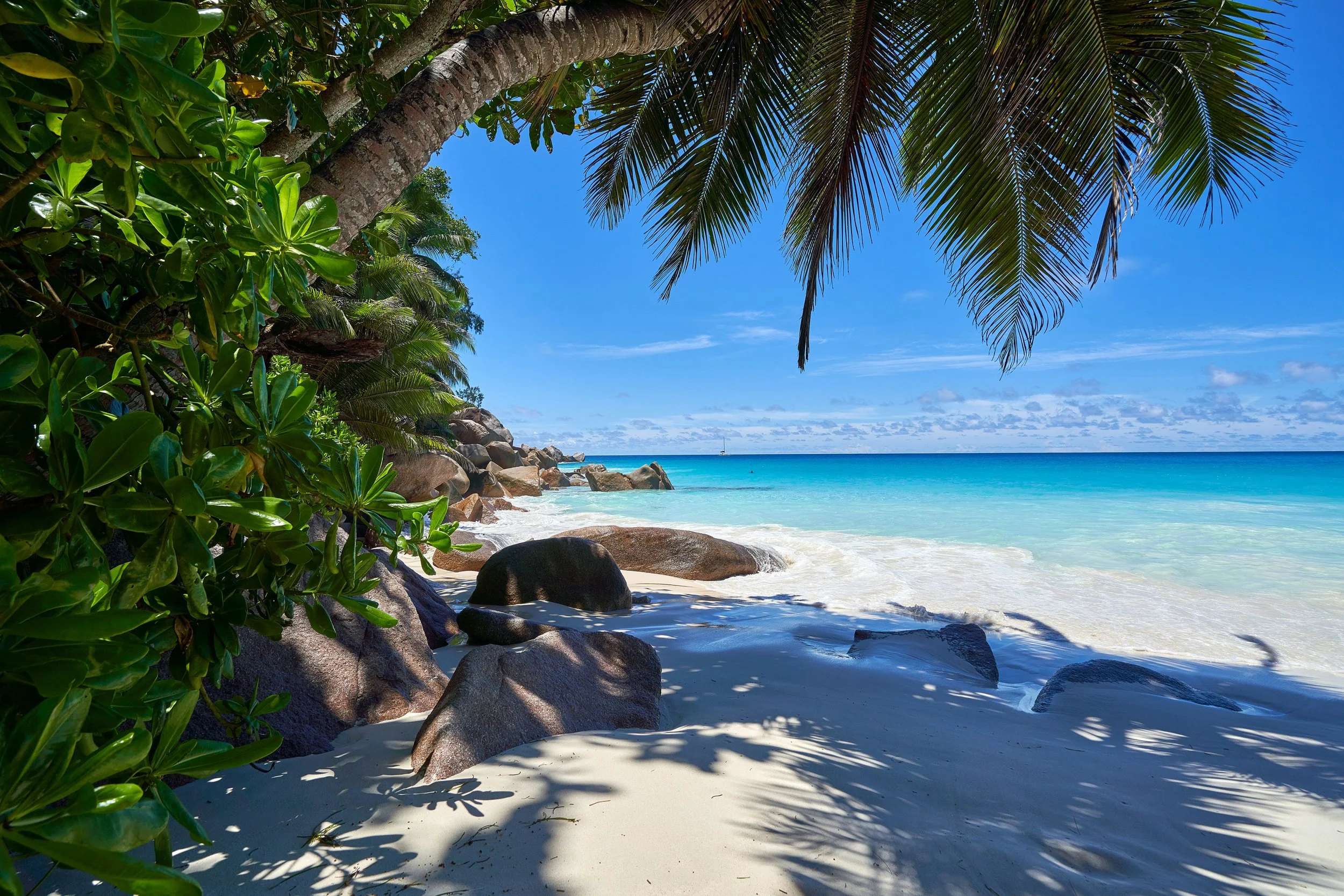 Tropical beach scene with white sandy shore, turquoise ocean water, large rocks, lush green palm trees and plants, and a clear blue sky.