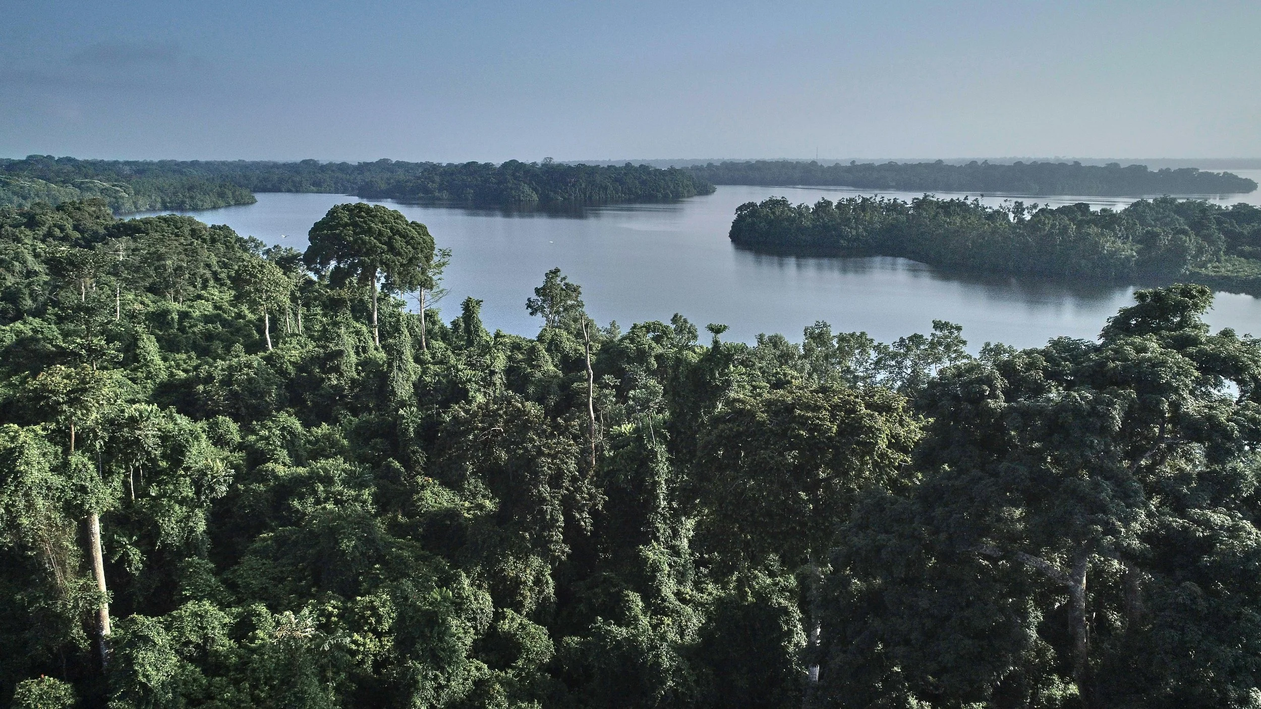 Aerial view of a lush green rainforest surrounding a large lake, with multiple islands in the water and a distant horizon.