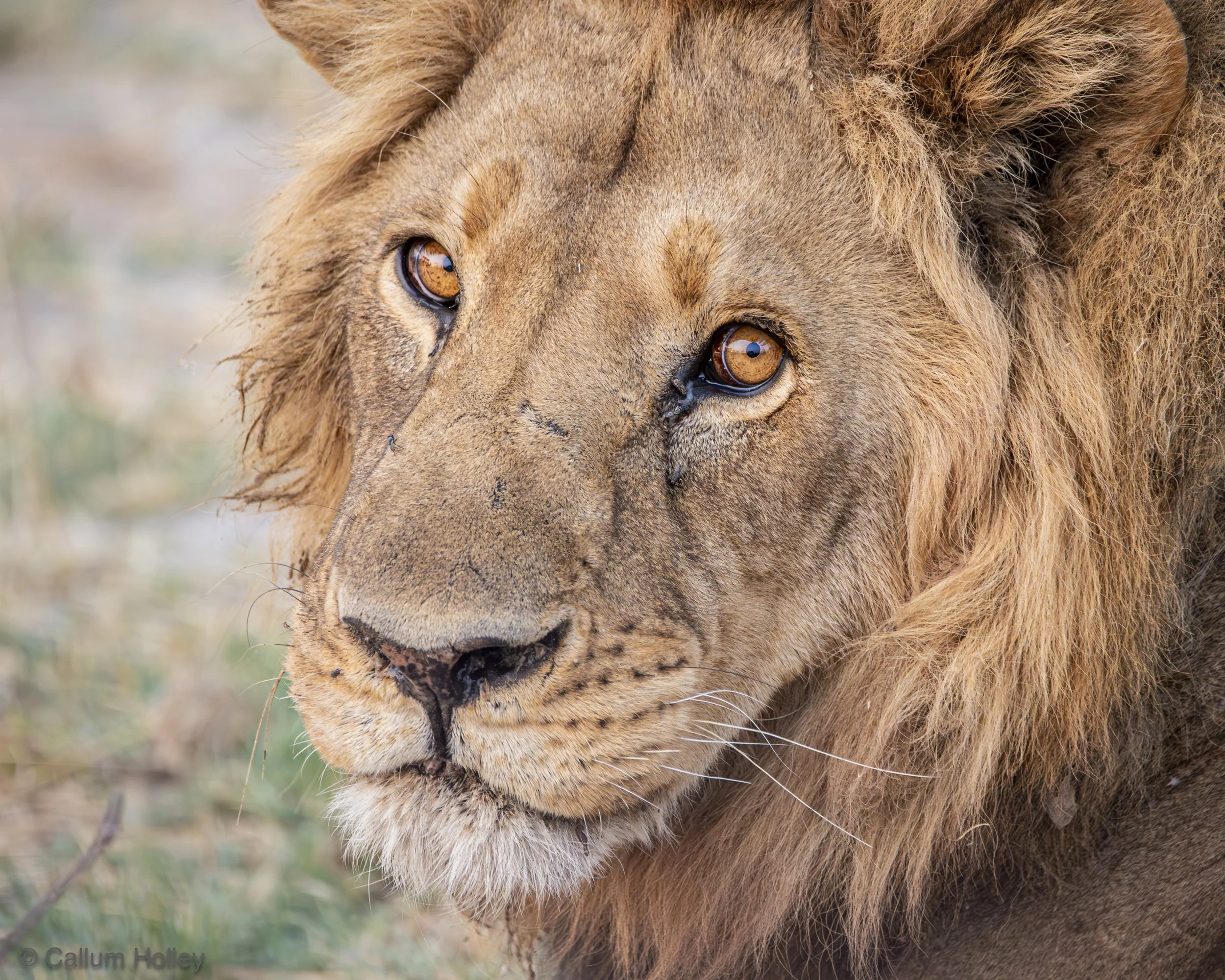 A scenic landscape featuring a large body of turquoise water, green hills, and mountain ranges with rugged peaks under a cloudy sky.