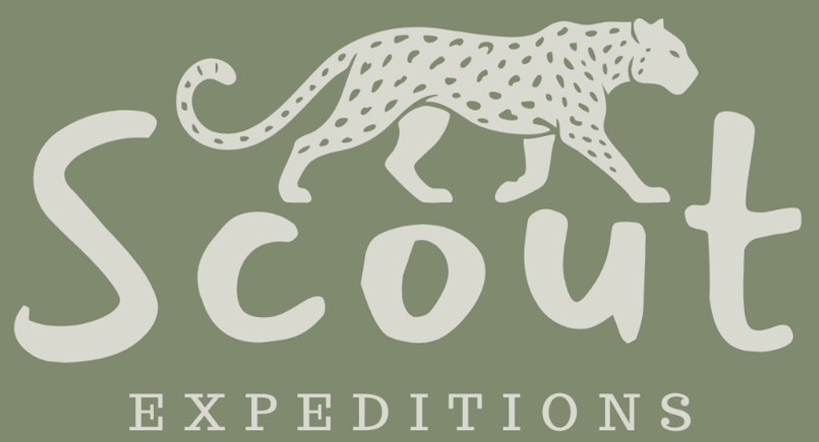 Scout Expeditions
