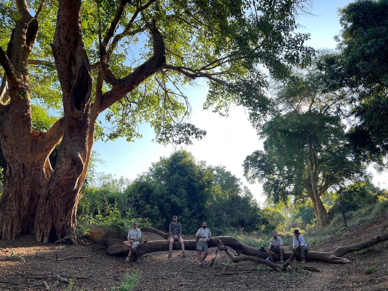 Primitive trail walk, Pafuri, Kruger NP