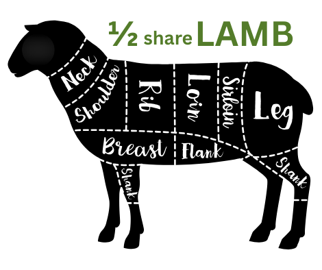 1/2 Share of Lamb