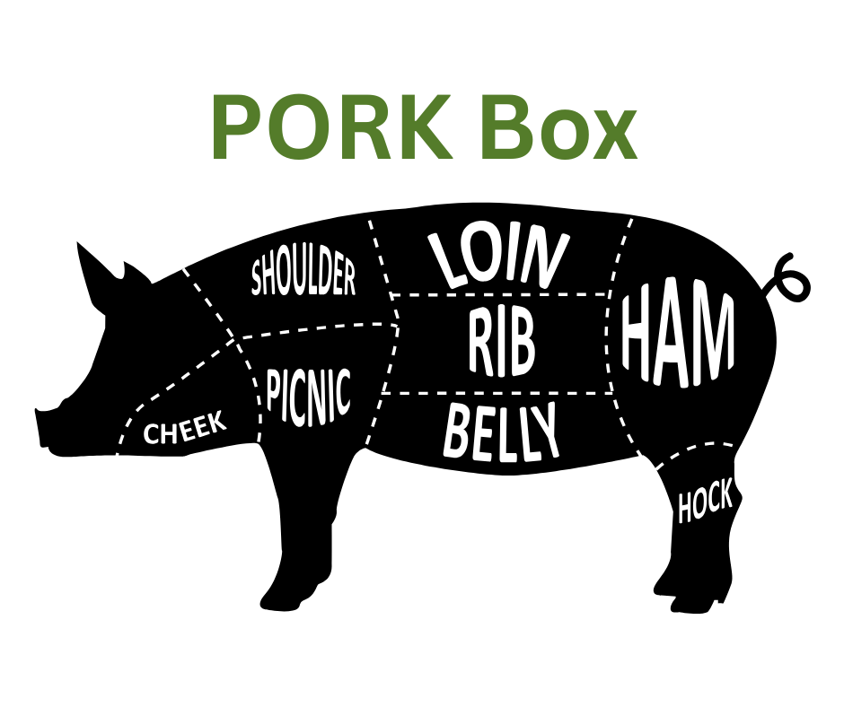 Product Pictures (2).png