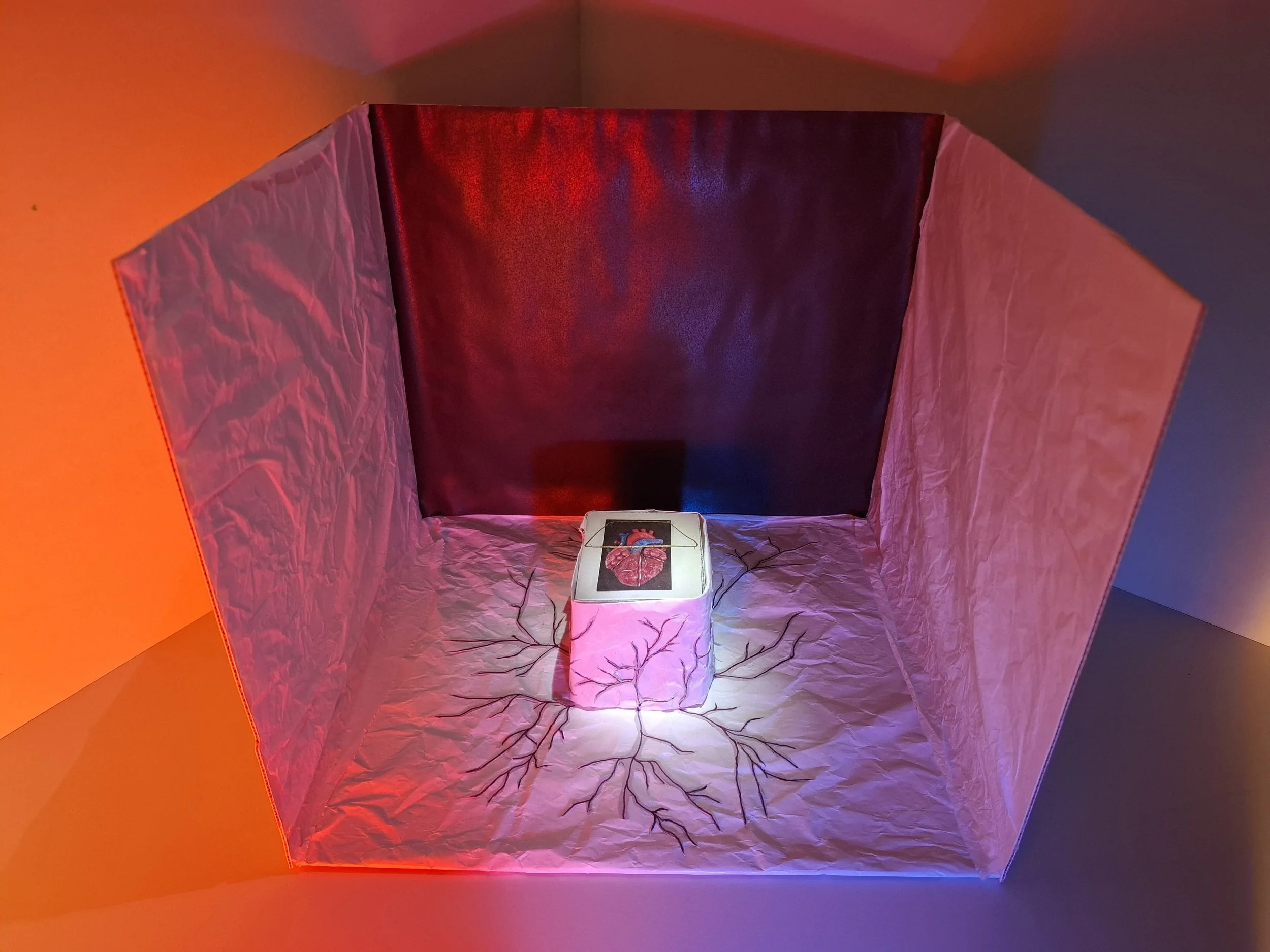 Heart 3D display.jpeg