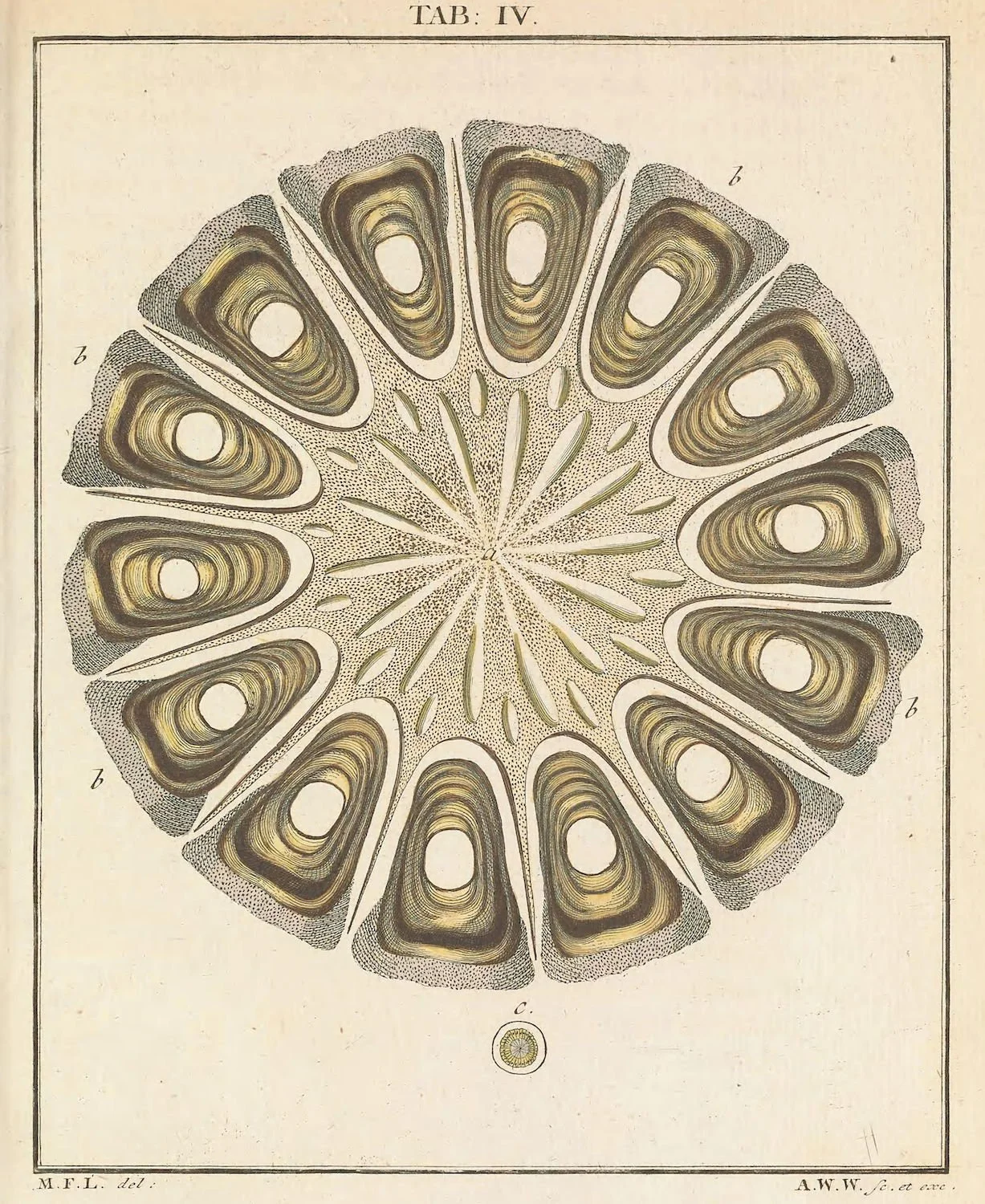 Back To The Beginning