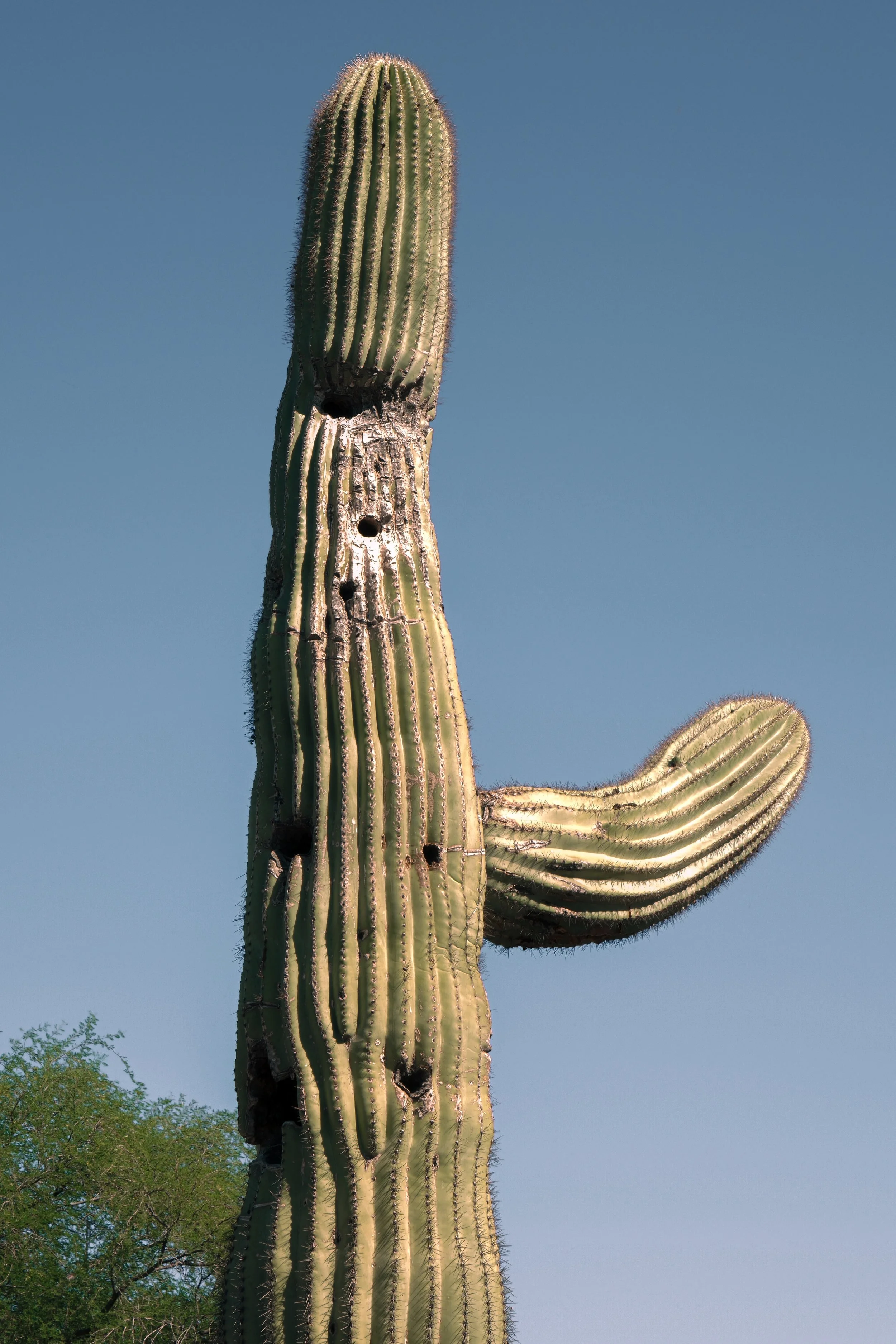 DSCF0513.jpg