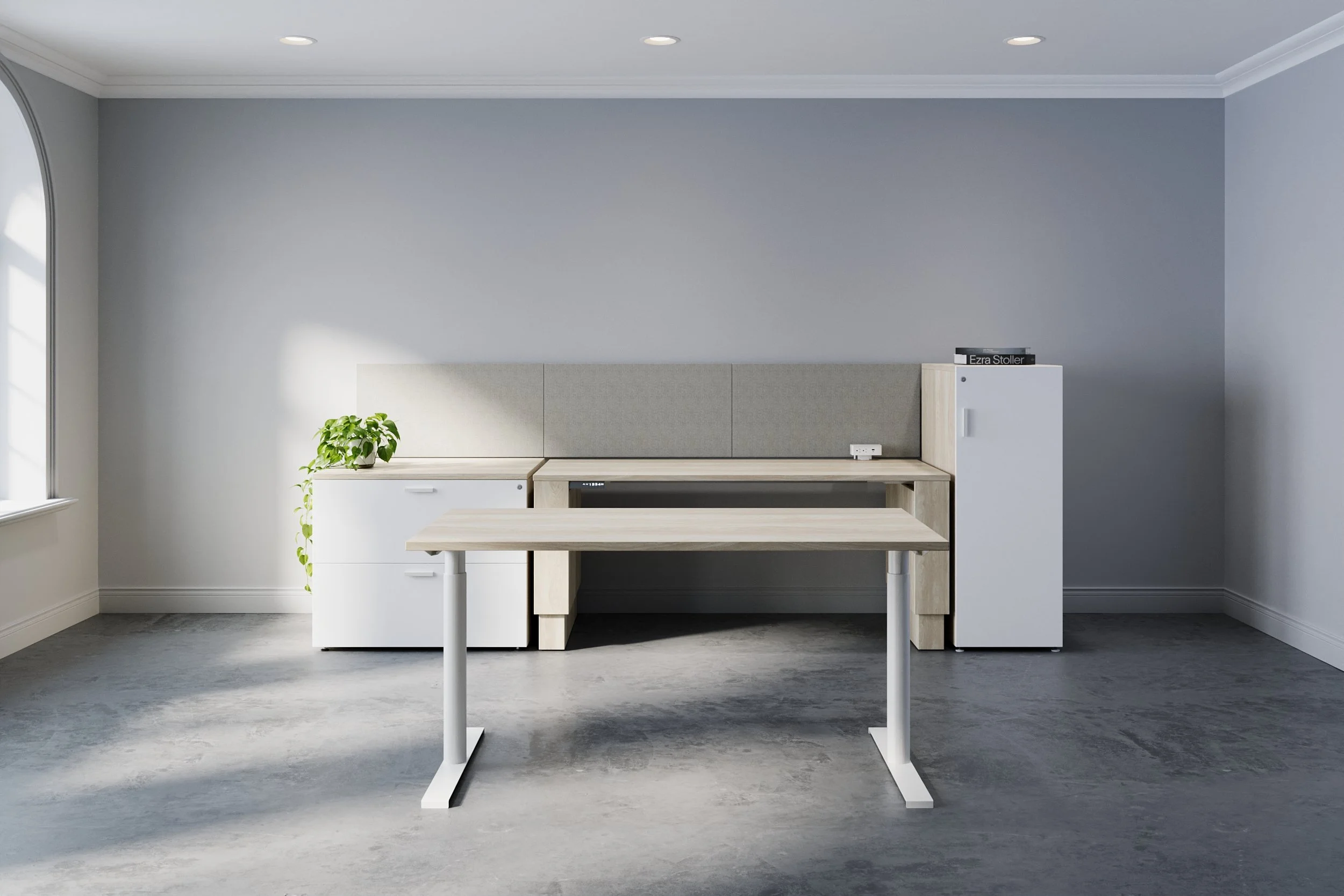 Premiere private office suite — environmental view