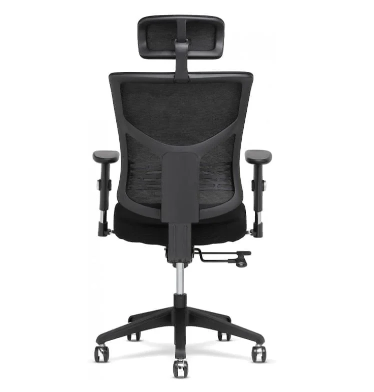 X-Project Chair — view 2
