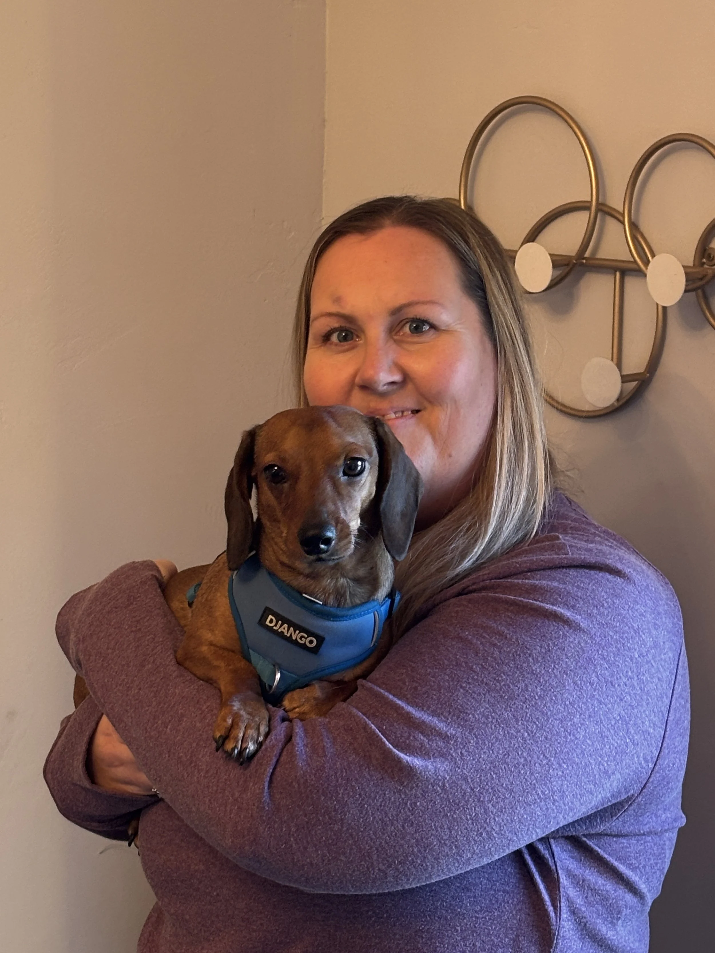 A woman holding a small brown dachshund wearing a blue harness in her arms, standing indoors with a decorative wall piece in the background.