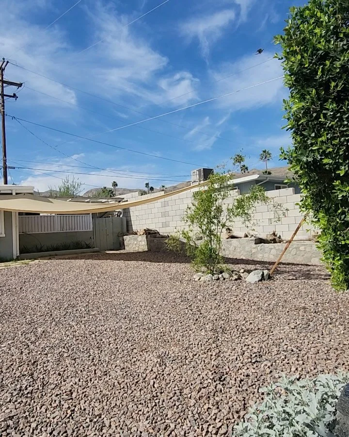 A blank canvas turned into a peaceful paradise 🌳

Our client was looking for a simple, clean change to their yard. DesertCore came in and graded, installed landscape fabric and installed both trees and gravel to elevate this space. 
.
#desertcorelan