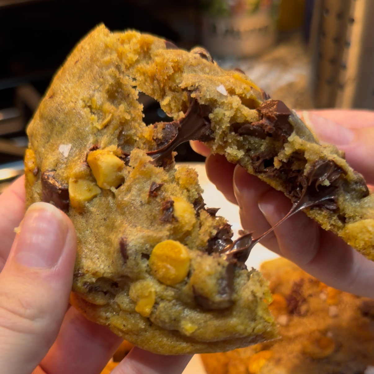 Butterscotch Chocolate Chip Cookies