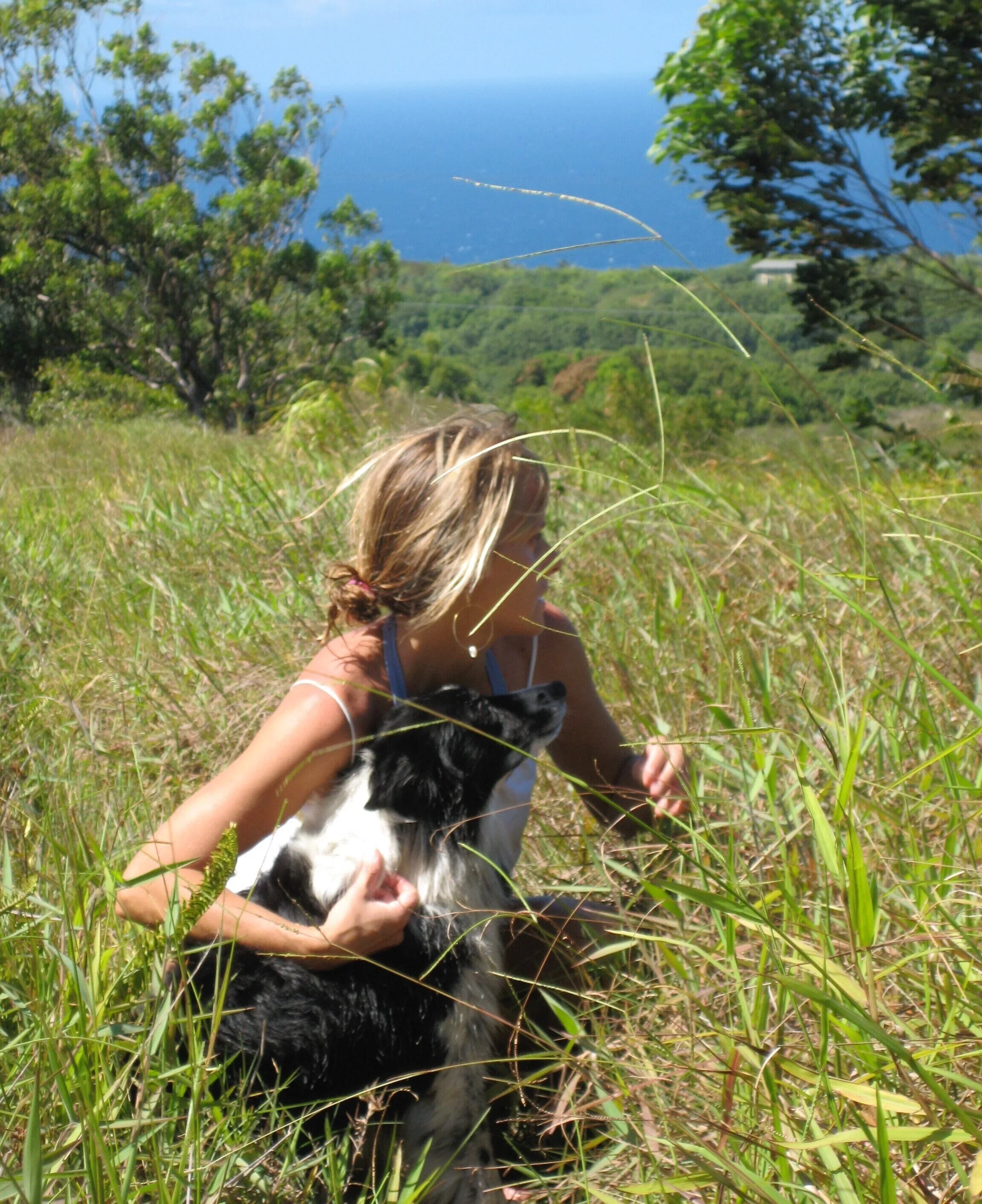 How Animals Communicate — and How They Reawaken Our Intuition