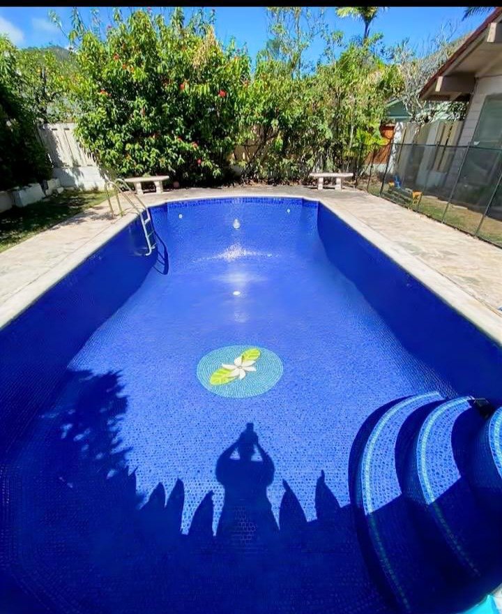 A backyard swimming pool with a blue interior, empty and reflecting the sky. There are trees and bushes around the pool, and lounge chairs along the sides. The photo captures a person's shadow taking the picture in the foreground.
