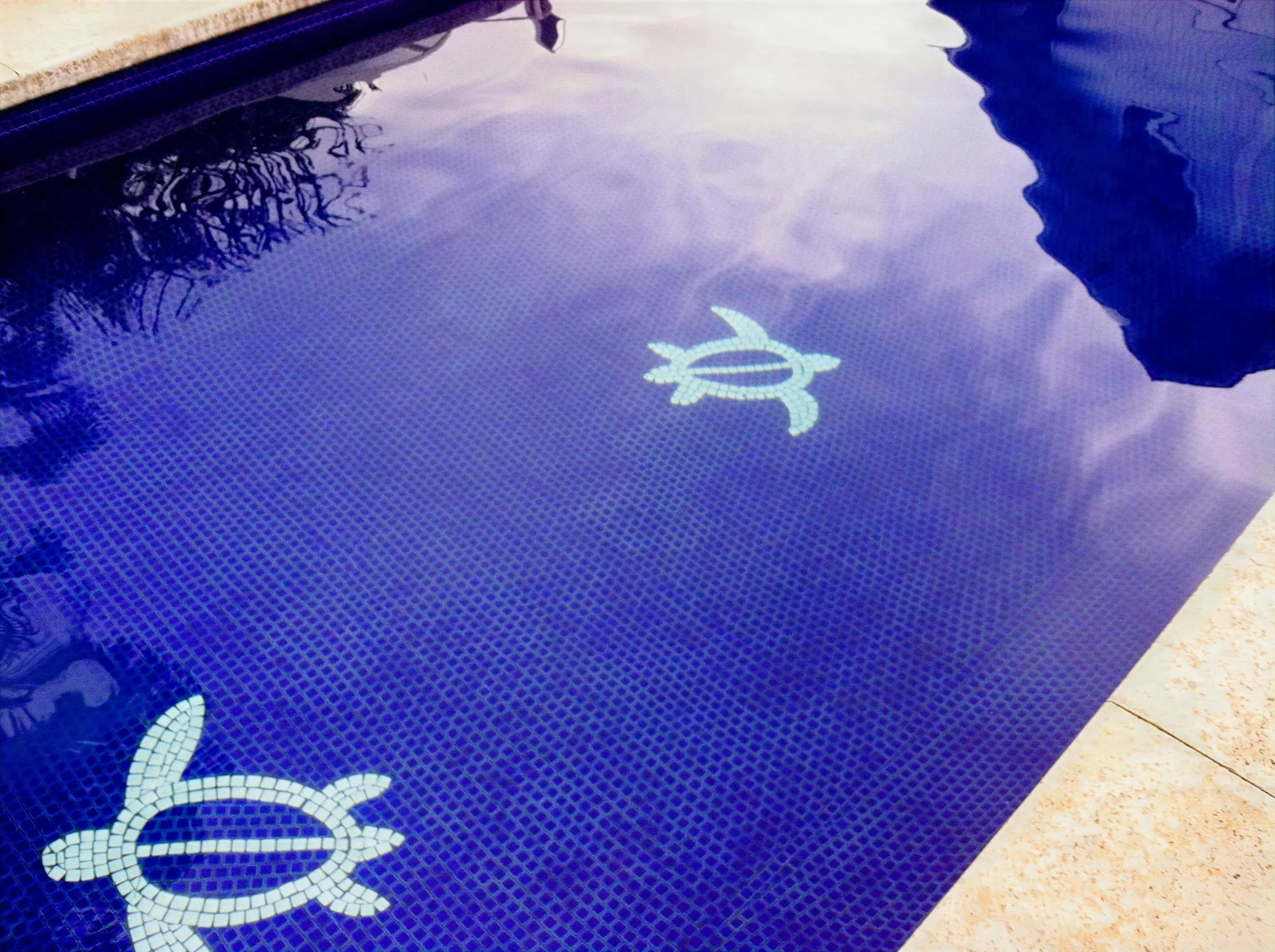 Swimming pool with blue mosaic tiles and turtle-shaped mosaic designs on the bottom.