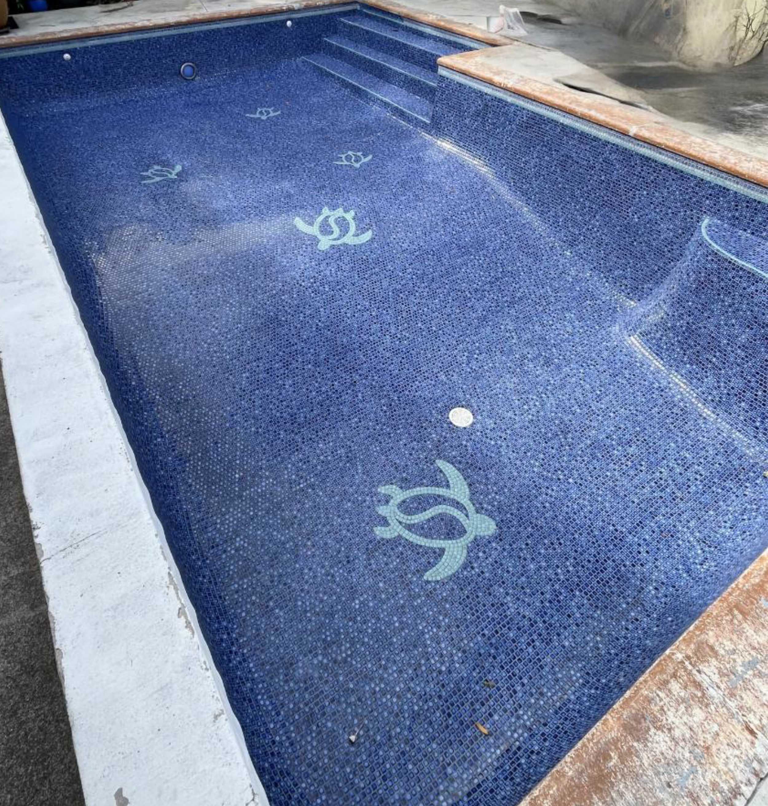 In-ground swimming pool with blue mosaic tiles and decorative turtle motifs, located outdoors.