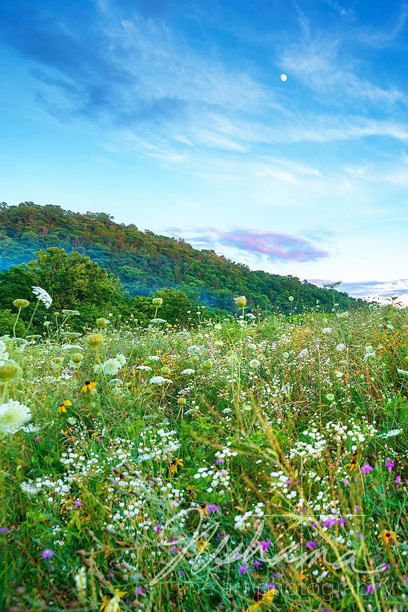Current River Prairie Sunset | Cedar Grove, MO