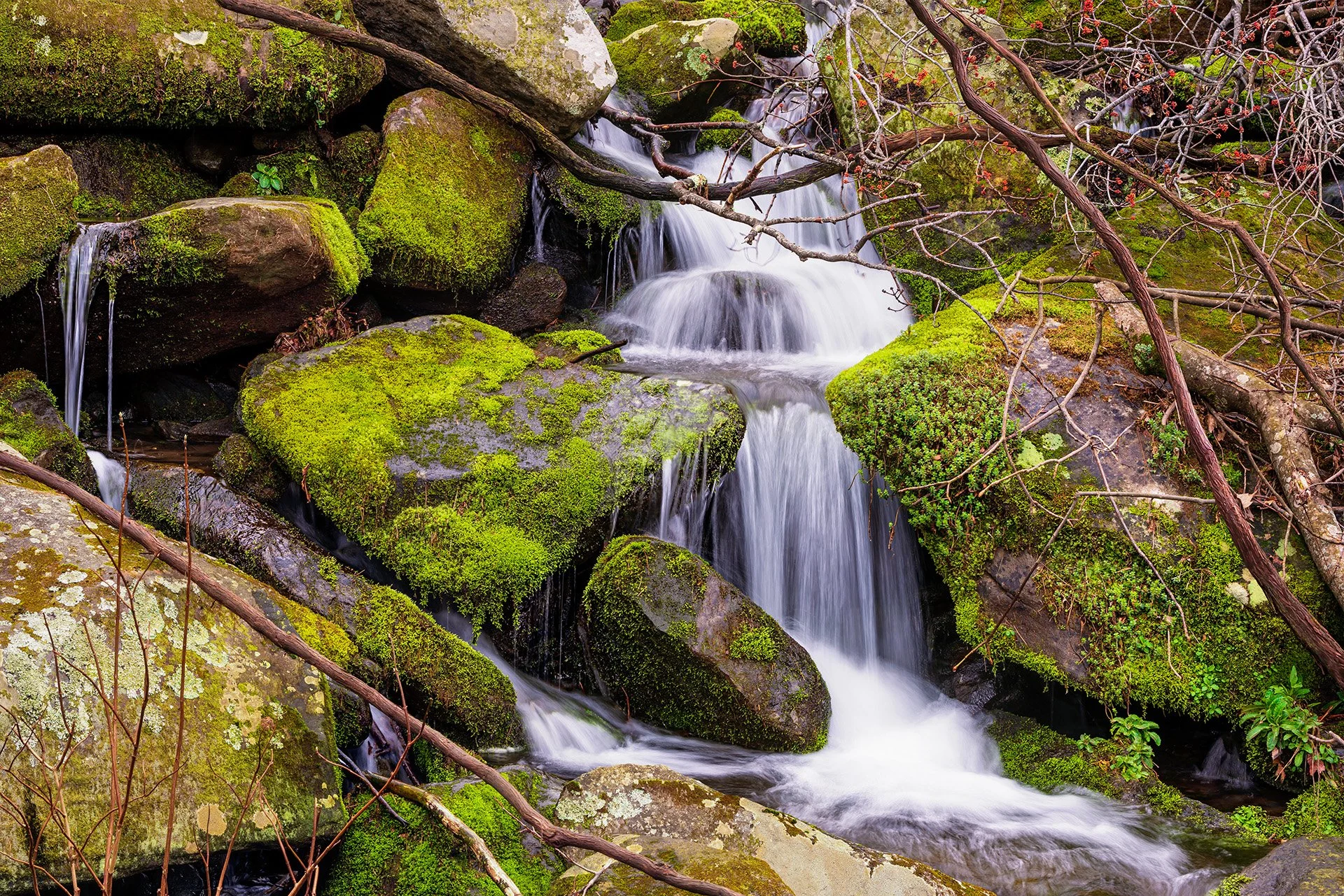 Hillside Cascade.jpg