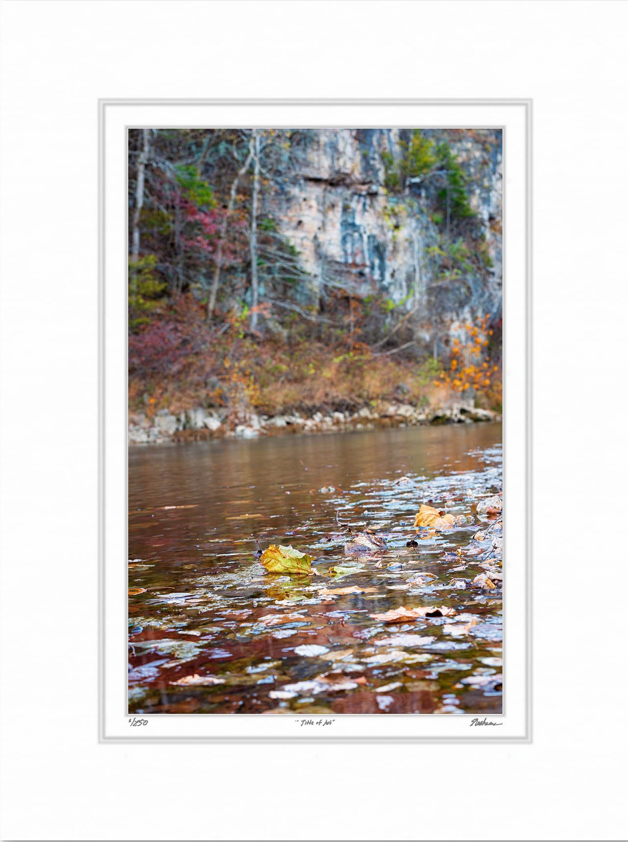 Leaves on the Meramec.jpg