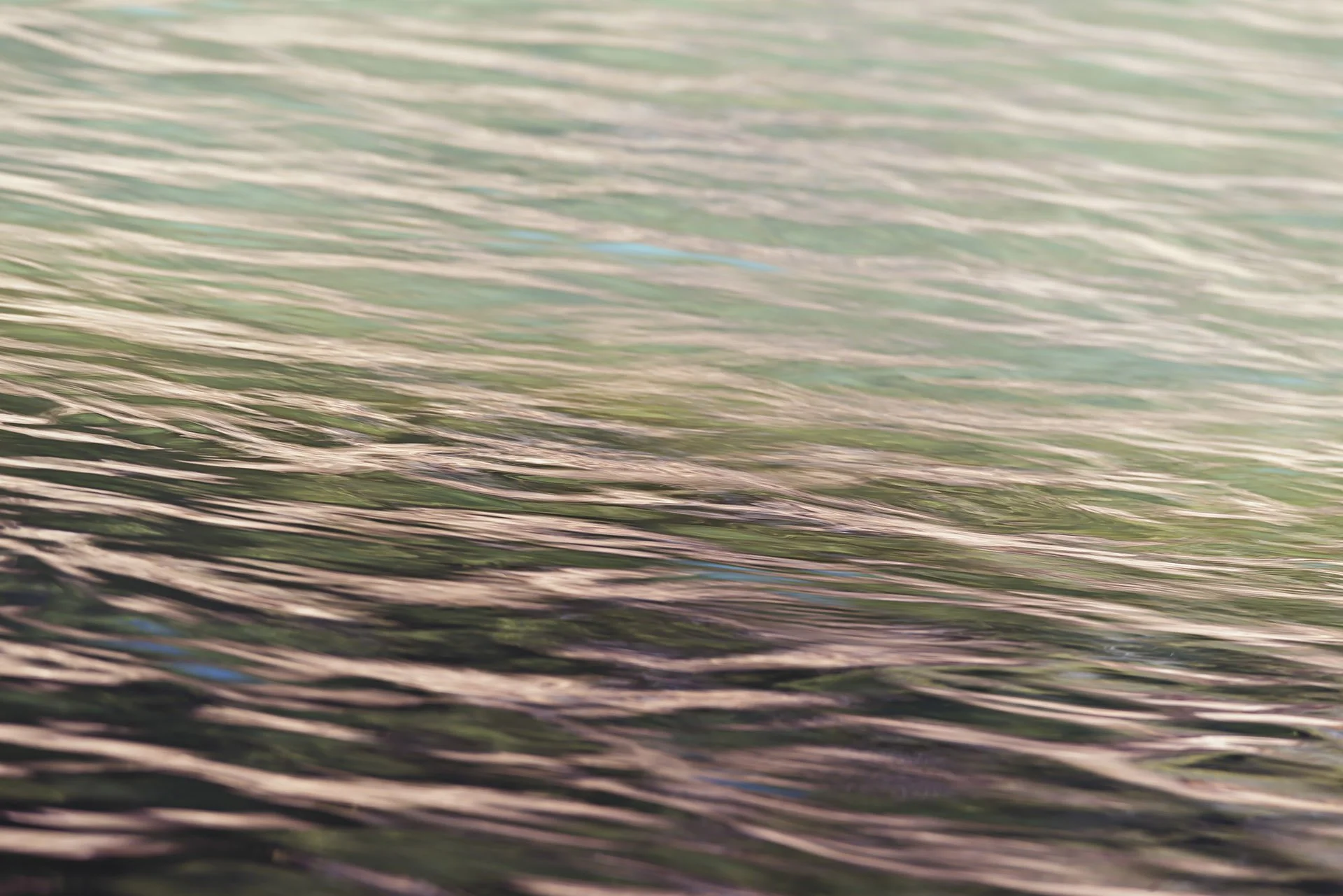 Daydreams on the Eleven Point River.jpg