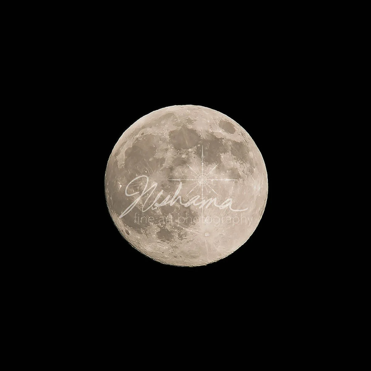 Beaver Supermoon | Saint Louis, MO