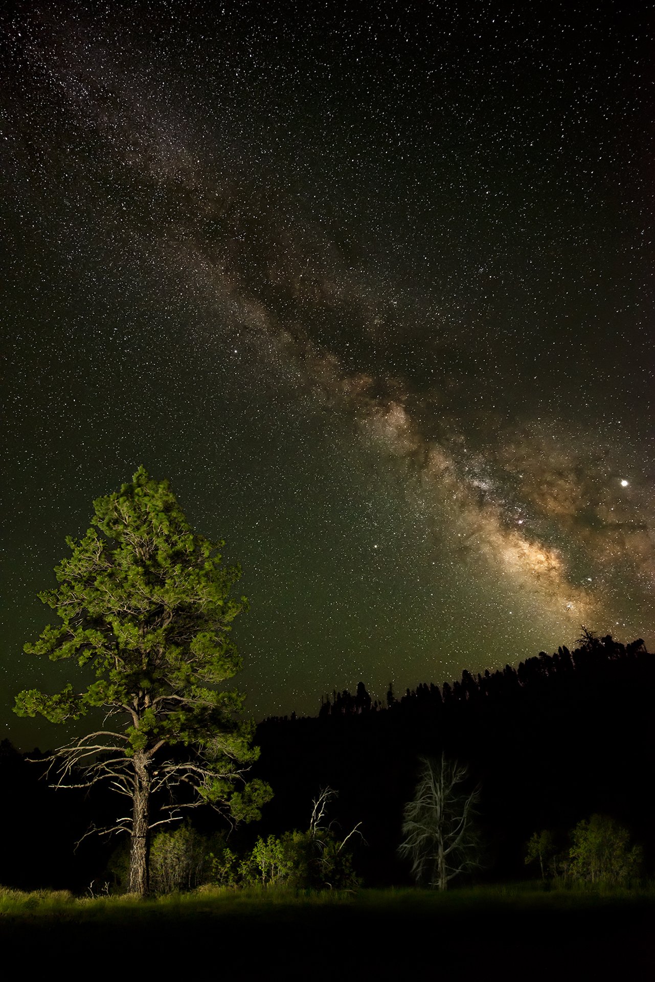 Milky Way on the West Rim Trail.jpg