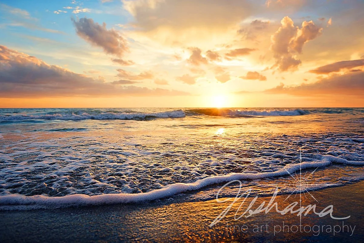 Froth | Fort Myers Beach, FL