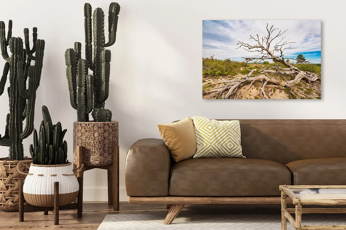 Back to the Earth Acrylic Wall.jpg