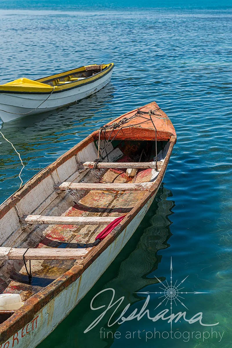 Companions at Sea