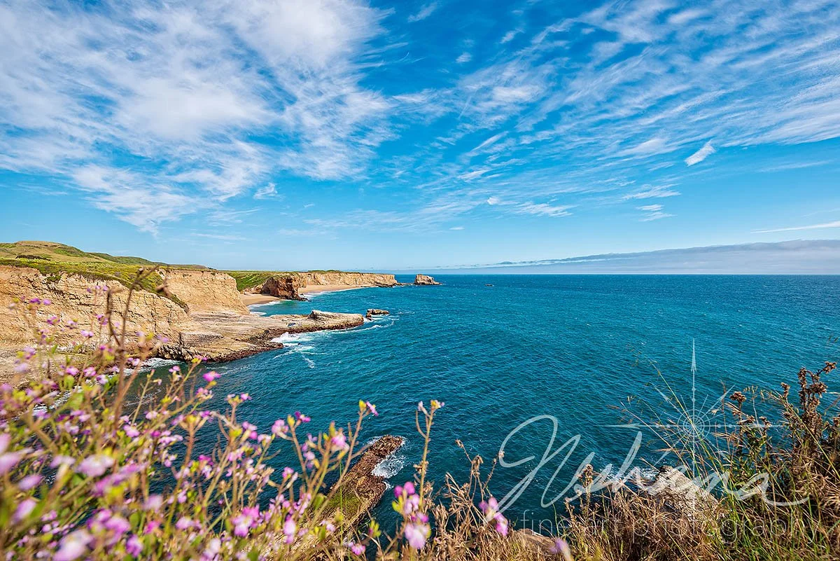 California Coastal Colors | Santa Cruz, CA