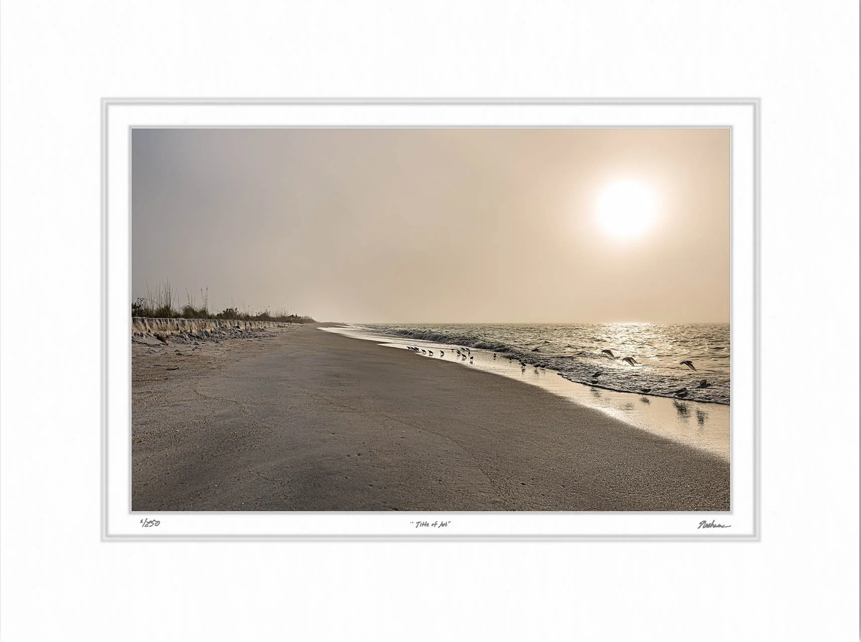 Foggy Sunset on Cayo Costa Island.jpg