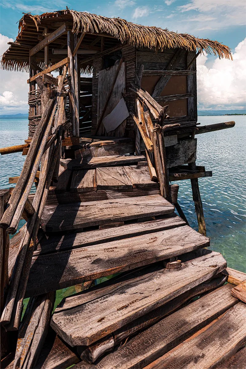 Driftwood and Dreams.jpg