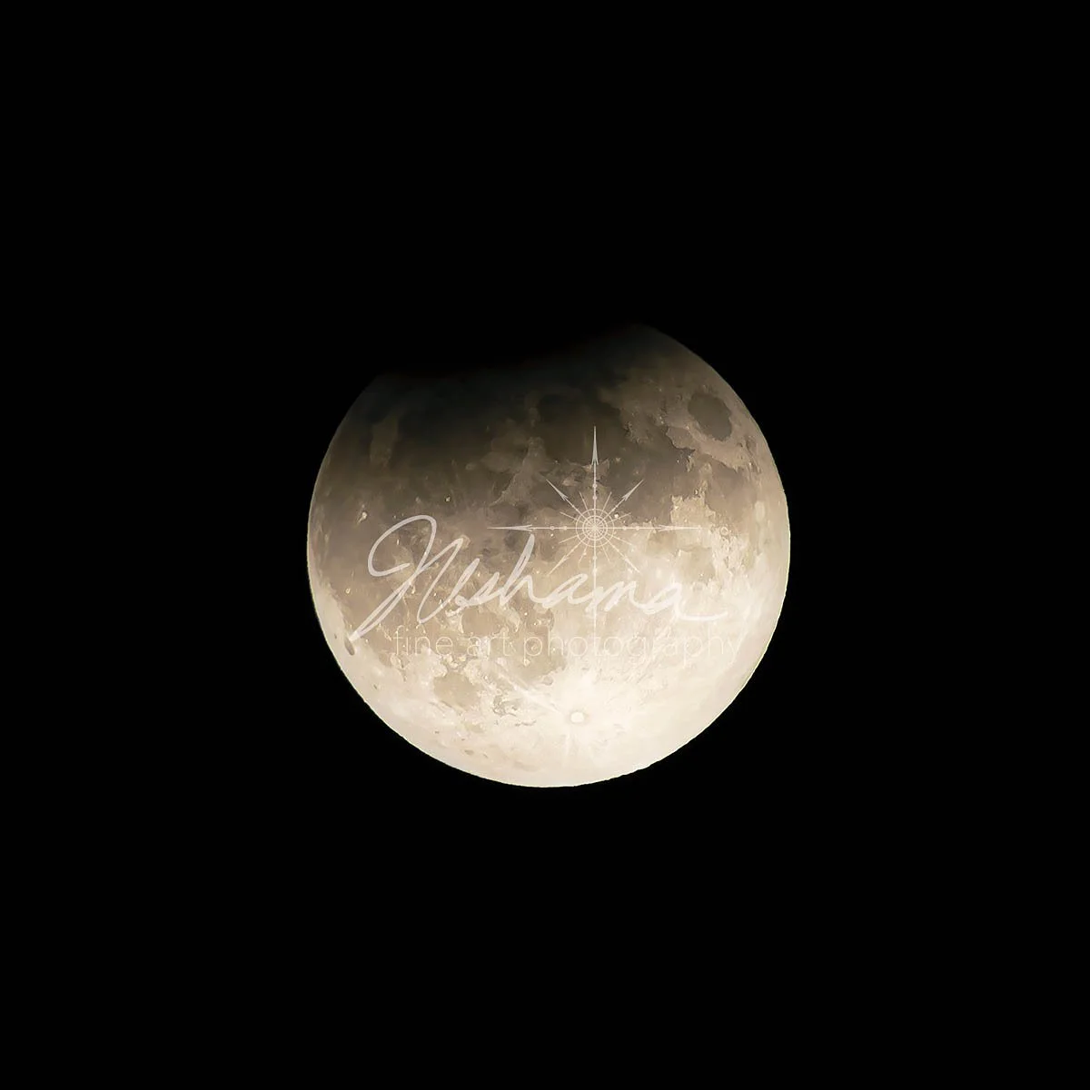 Partial Lunar Eclipse | Saint Louis, MO