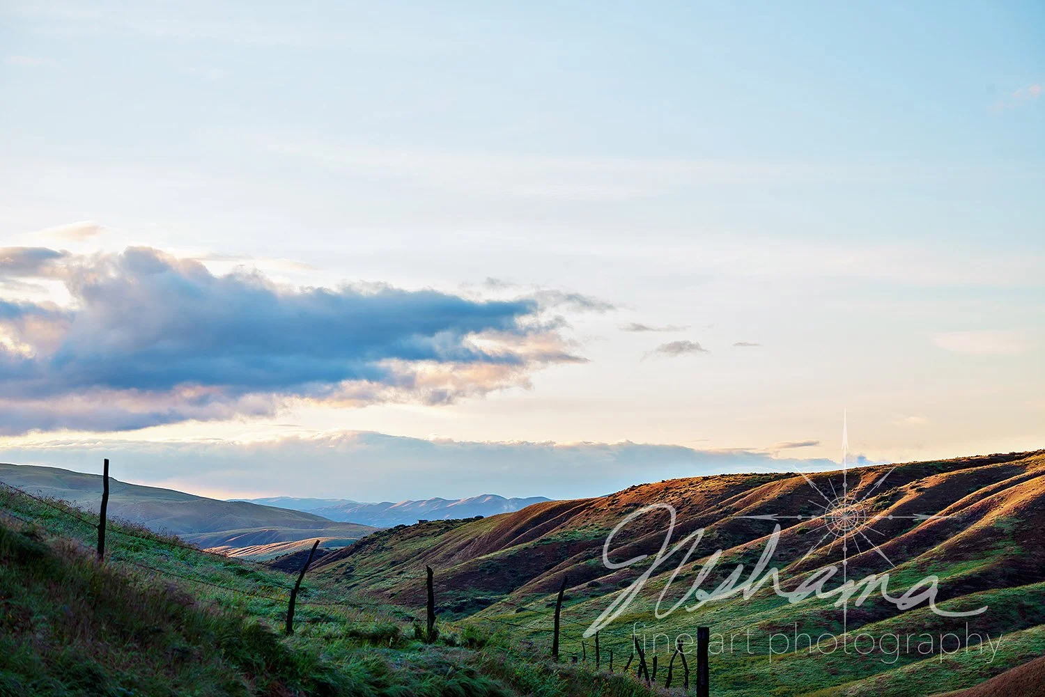  Velvet Hills | Carrizo Plains National Monument, CA