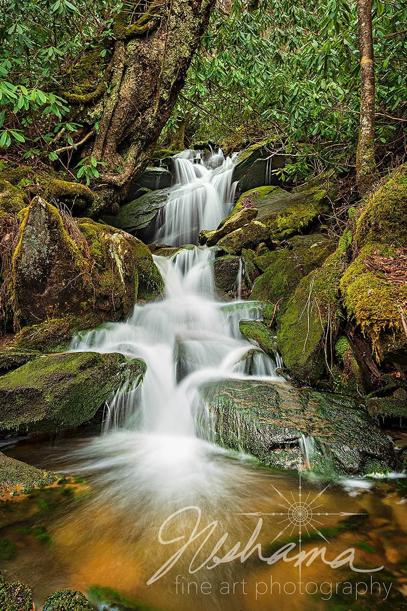 Great Smoky Mountains Cascade.jpg