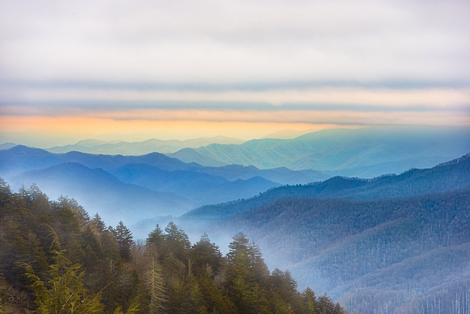 Fog in the Smokies | Great Smoky Mountains National Park, TN