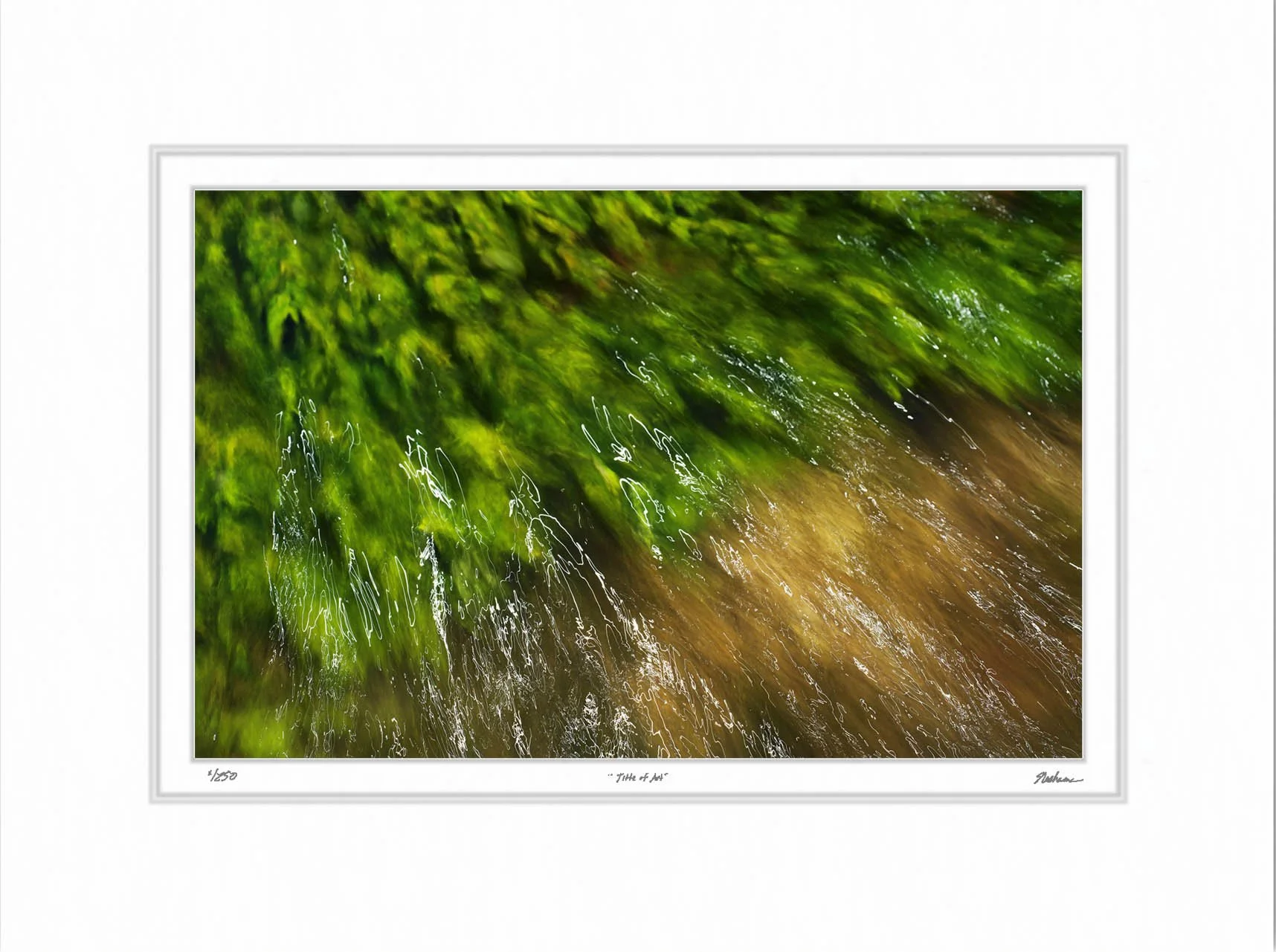 Watercress with Dancing Light.jpg