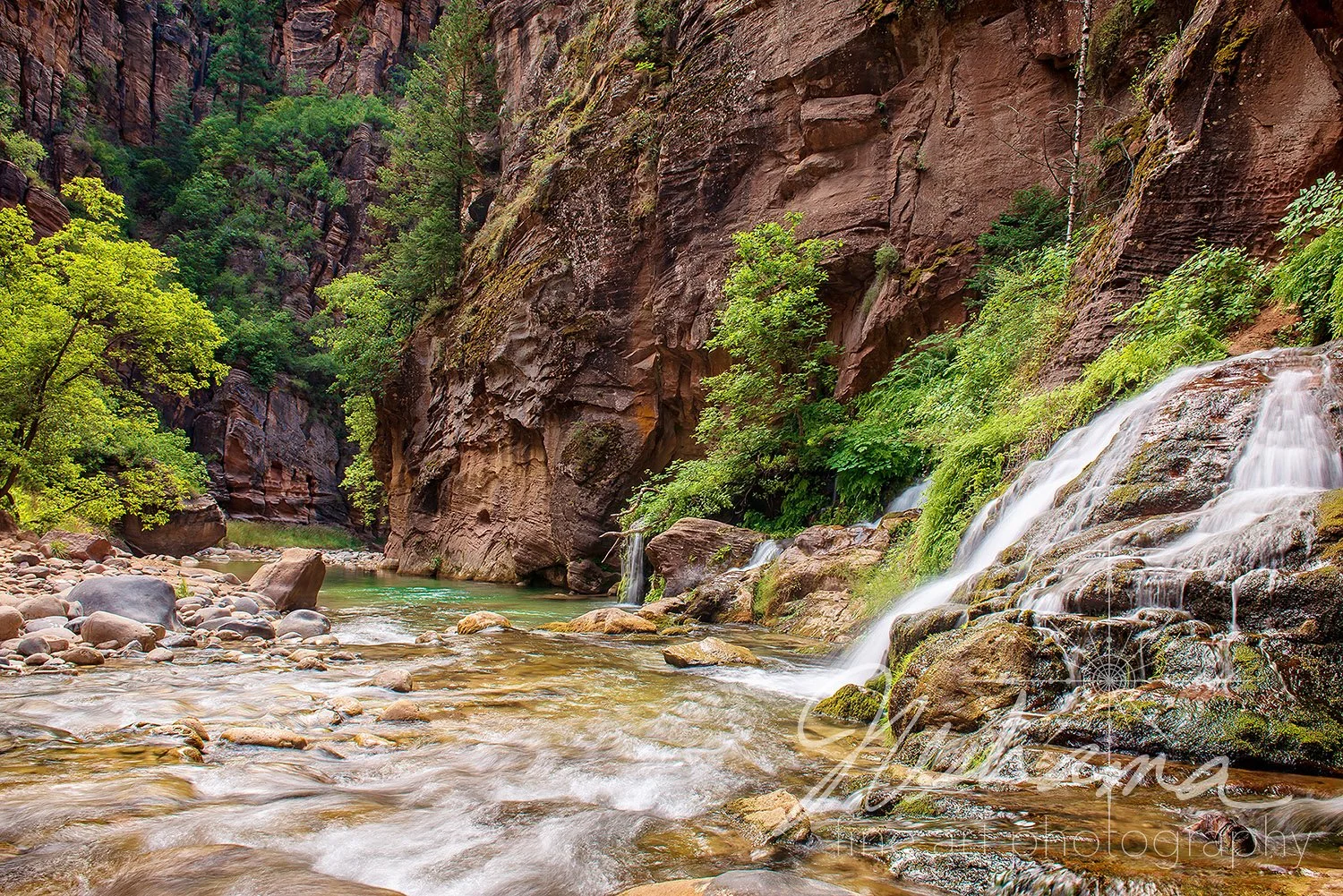 Zion Hidden Paradise  | Zion National Park, UT