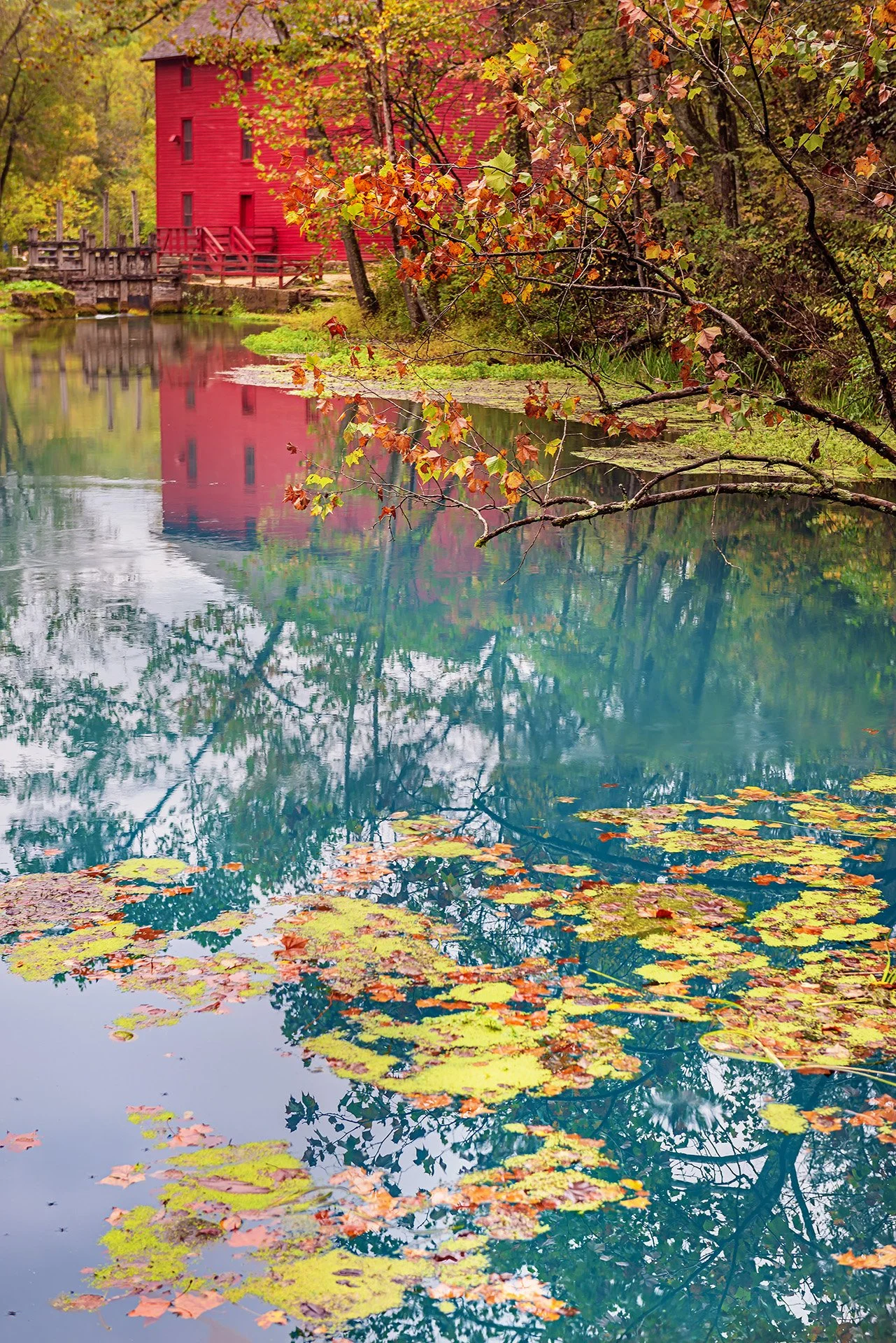 Alley Spring Mill Zapp.jpg