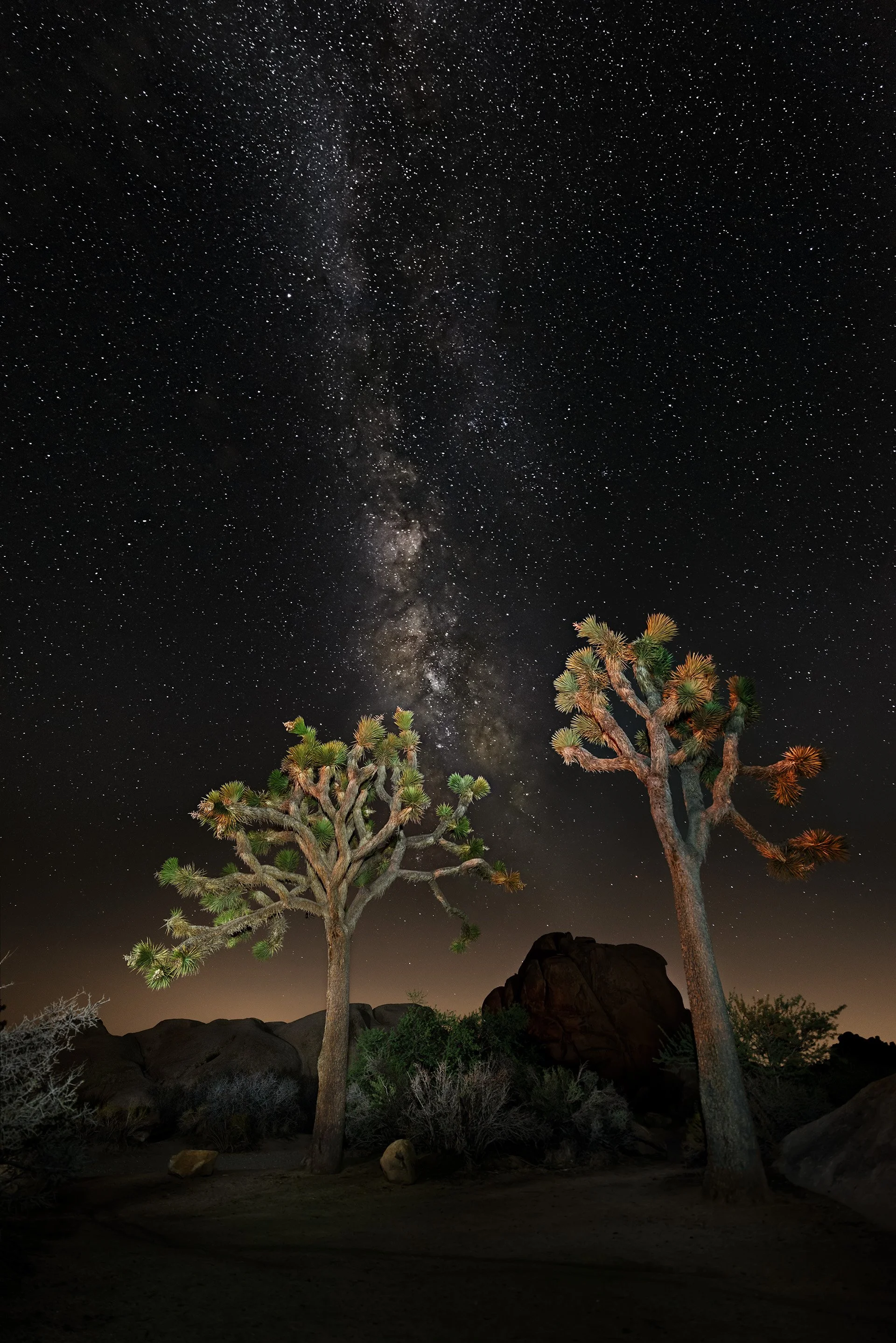 "Together Under the Milky Way" | Joshua Tree National Park, CA
