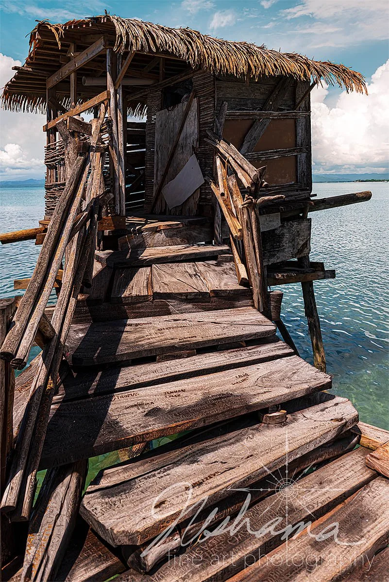 Driftwood and Dreams | Near Parottee Beach, Jamaica