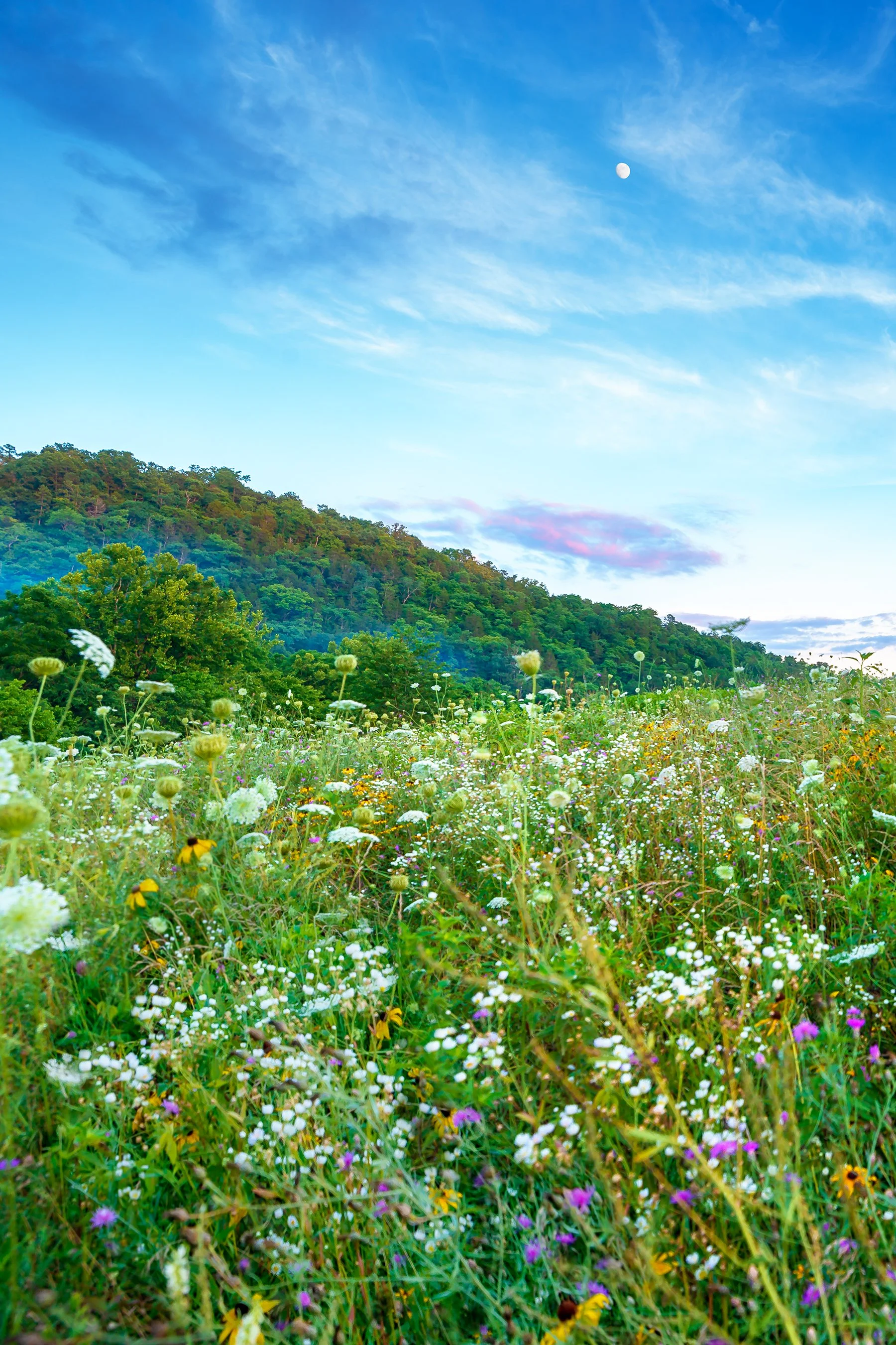 Current River Prairie Sunset.jpg