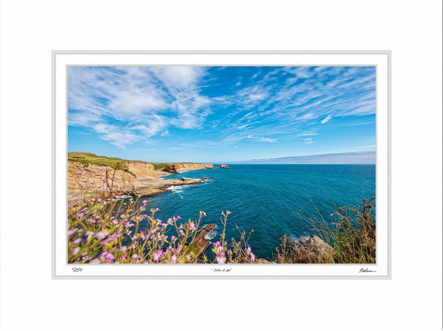 Coastal Color.jpg