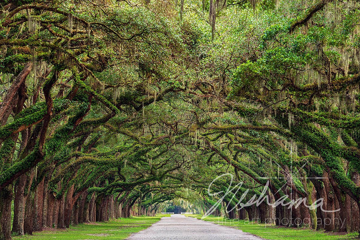 Isle of Hope | Savannah, GA