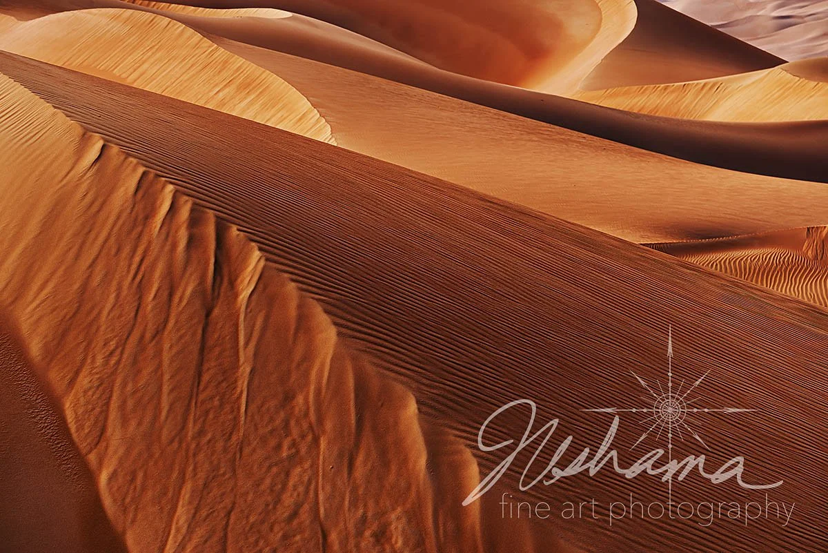 Wind Carved Majesty | Abu Dhabi, United Arab Emirates 