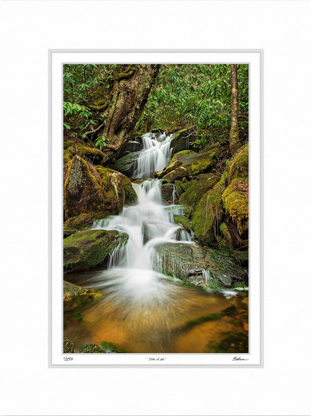 Great Smoky Mountains Cascade.jpg