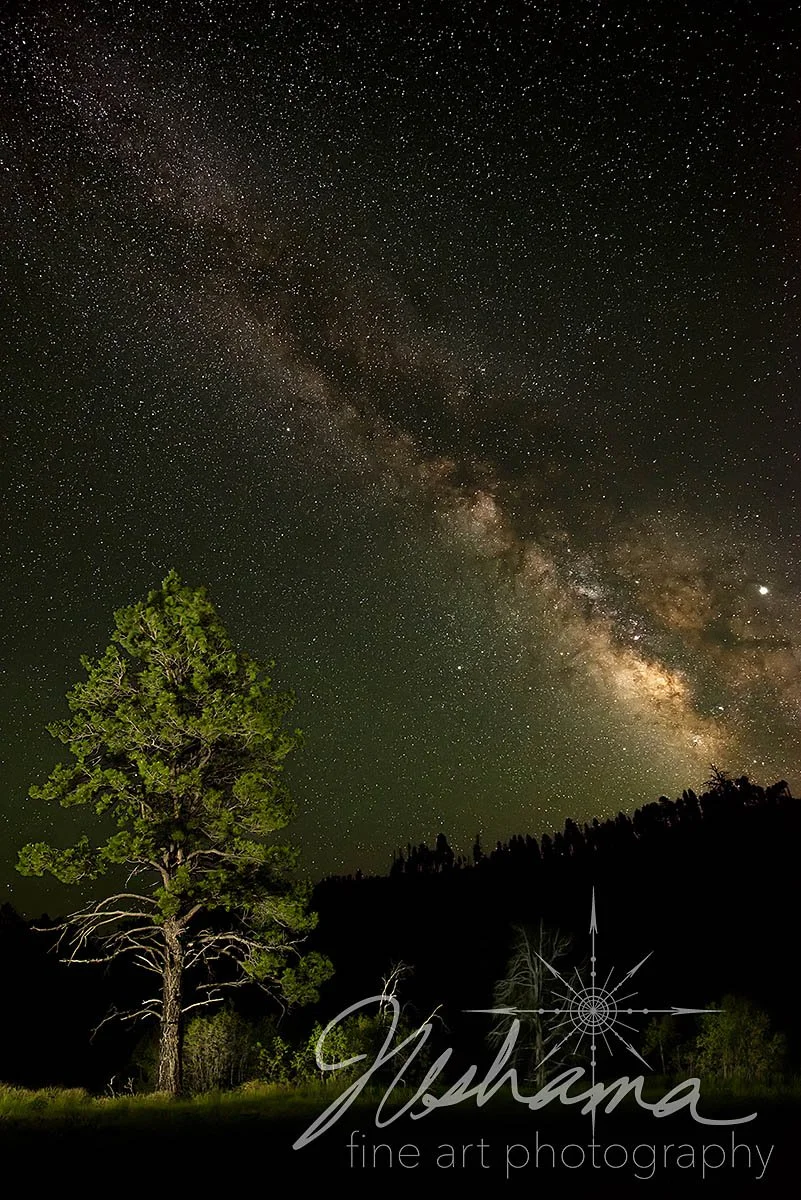 Milky Way on the West Rim Trail | Zion National Park, UT