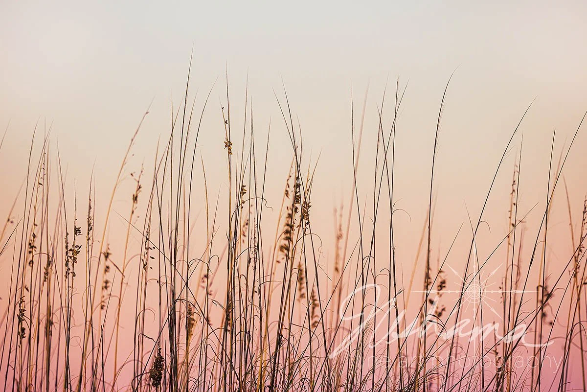 Twilight Whispers | Grayton Beach State Park, FL